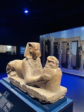 ACN ラムセス大王展 ファラオたちの黄金に投稿された画像（2025/12/11）