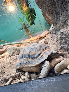 サンシャイン水族館に投稿された画像（2025/12/11）