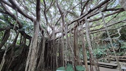 アスムイハイクスに投稿された画像（2025/12/11）