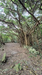 アスムイハイクスに投稿された画像（2025/12/11）