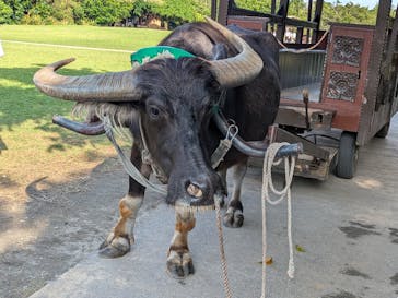 ビオスの丘に投稿された画像（2025/12/11）