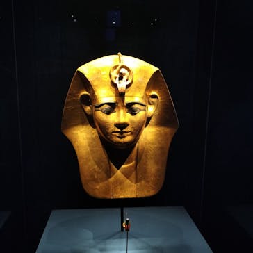 ACN ラムセス大王展 ファラオたちの黄金に投稿された画像（2025/12/11）