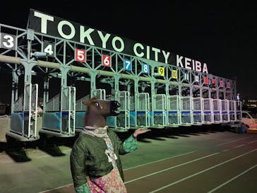 東京メガイルミに投稿された画像（2025/12/11）