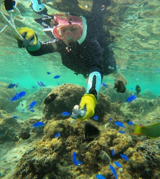 武藤潜水に投稿された画像（2025/12/12）