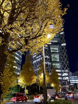 モーリス・ユトリロ展（SOMPO美術館）に投稿された画像（2025/12/12）