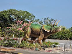 御菓子御殿　名護店　やんばる亜熱帯の森DINO恐竜PARKに投稿された画像（2025/12/12）