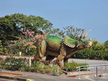 御菓子御殿　名護店　やんばる亜熱帯の森DINO恐竜PARKに投稿された画像（2025/12/12）