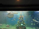 越前松島水族館に投稿された画像（2025/12/12）