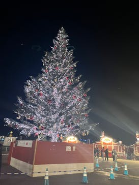 Christmas Market in 横浜赤レンガ倉庫 2025に投稿された画像（2025/12/12）