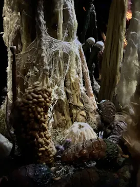 金曜ロードショーとジブリ展（静岡展）に投稿された画像（2025/12/12）