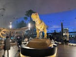 福井県立恐竜博物館に投稿された画像（2025/12/12）