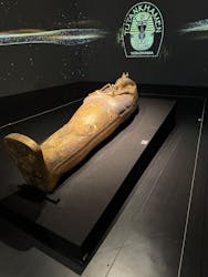 MYSTERY OF TUTANKHAMEN 体感型古代エジプト展に投稿された画像（2025/12/12）