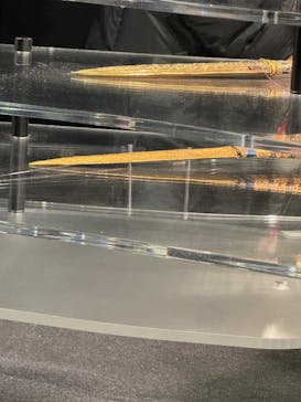 MYSTERY OF TUTANKHAMEN 体感型古代エジプト展に投稿された画像（2025/12/12）