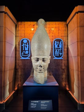 ACN ラムセス大王展 ファラオたちの黄金に投稿された画像（2025/12/12）