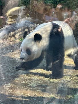 恩賜上野動物園に投稿された画像（2025/12/12）