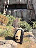 恩賜上野動物園に投稿された画像（2025/12/12）