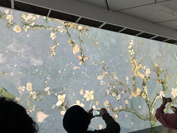 ゴッホ展　家族がつないだ画家の夢（東京都美術館）に投稿された画像（2025/12/12）