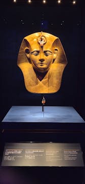 ACN ラムセス大王展 ファラオたちの黄金に投稿された画像（2025/12/12）