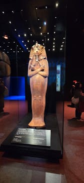 ACN ラムセス大王展 ファラオたちの黄金に投稿された画像（2025/12/12）