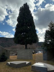 彫刻の森美術館に投稿された画像（2025/12/12）