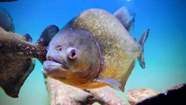 シン・マリホ水族館に投稿された画像（2025/12/12）