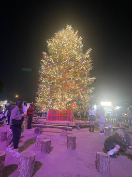 Christmas Market in 横浜赤レンガ倉庫 2025に投稿された画像（2025/12/12）