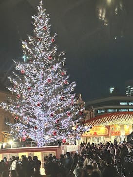 Christmas Market in 横浜赤レンガ倉庫 2025に投稿された画像（2025/12/12）