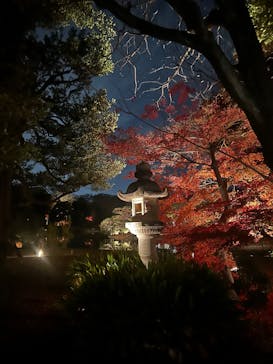 六義園に投稿された画像（2025/12/12）