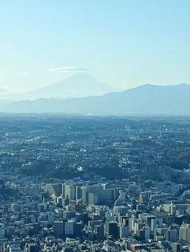 横浜ランドマークタワー 69階展望フロア スカイガーデンに投稿された画像（2025/12/12）