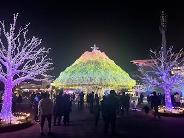 東京メガイルミに投稿された画像（2025/12/12）