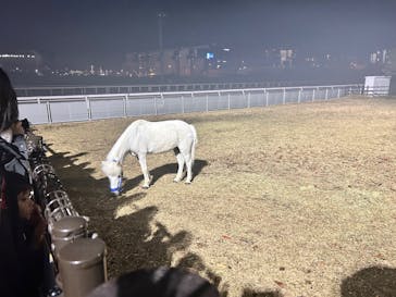 東京メガイルミに投稿された画像（2025/12/12）