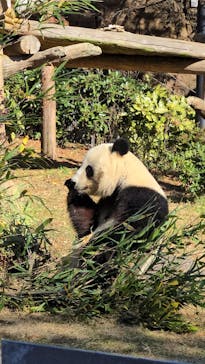 恩賜上野動物園に投稿された画像（2025/12/12）