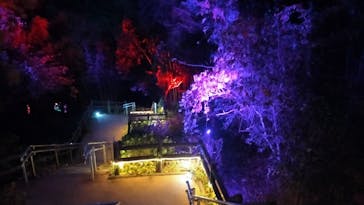 ニジゲンノモリに投稿された画像（2025/12/12）