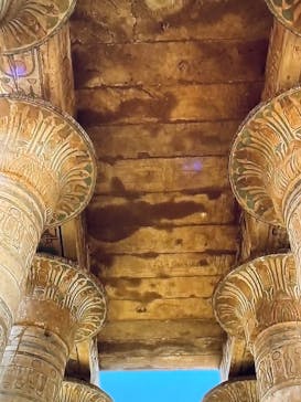 ACN ラムセス大王展 ファラオたちの黄金に投稿された画像（2025/12/12）