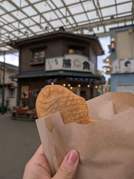 西武園ゆうえんちに投稿された画像（2025/12/12）