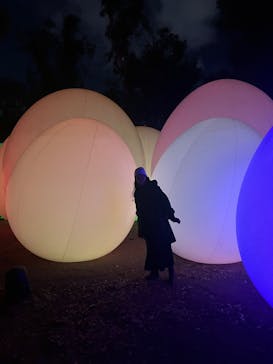 チームラボ ボタニカルガーデン 大阪に投稿された画像（2025/12/12）