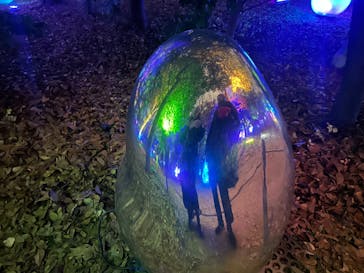 チームラボ ボタニカルガーデン 大阪に投稿された画像（2025/12/12）