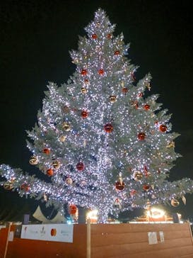Christmas Market in 横浜赤レンガ倉庫 2025に投稿された画像（2025/12/12）