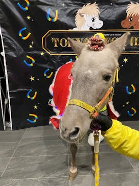 東京メガイルミに投稿された画像（2025/12/12）