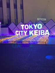 東京メガイルミに投稿された画像（2025/12/12）