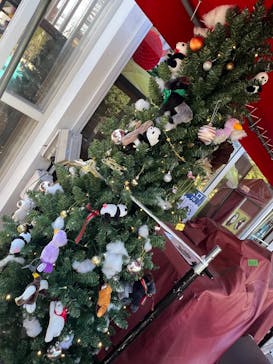 恩賜上野動物園に投稿された画像（2025/12/12）