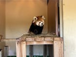 東武動物公園に投稿された画像（2025/12/12）