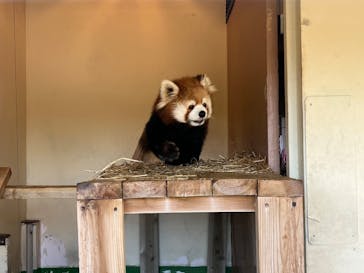 東武動物公園に投稿された画像（2025/12/12）