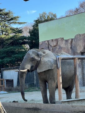 東武動物公園に投稿された画像（2025/12/12）