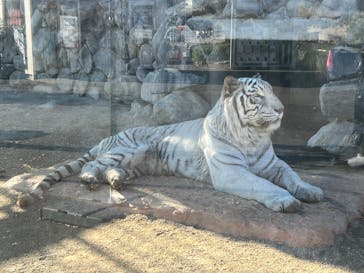東武動物公園に投稿された画像（2025/12/12）