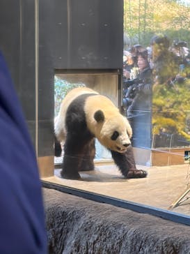 恩賜上野動物園に投稿された画像（2025/12/12）