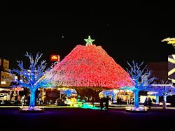 東京メガイルミに投稿された画像（2025/12/12）