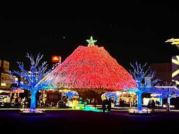 東京メガイルミに投稿された画像（2025/12/12）