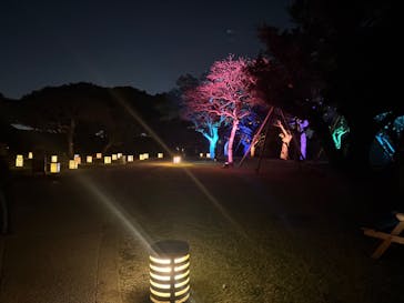 首里城　令和7年度 復興イベントに投稿された画像（2025/12/12）