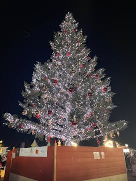 Christmas Market in 横浜赤レンガ倉庫 2025に投稿された画像（2025/12/12）